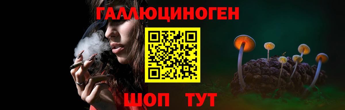 Псилоцибиновые грибы MAGIC MUSHROOMS  Галлюциногенные грибы MAGIC MUSHROOMS  Коломна  Вход с VPN 